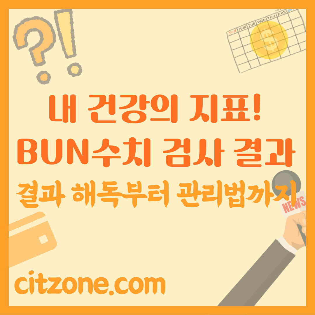BUN 수치, 내 건강의 지표! 검사 결과 해독부터 관리법까지 완벽 가이드 썸네일