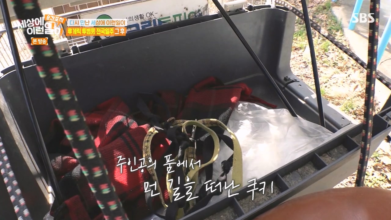 순간포착 세상에 이런일이.E1272.240407p-NEXT.mp4_20240407_175010.277.jpg