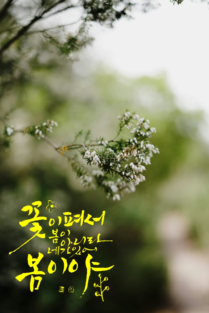 새순 이미지