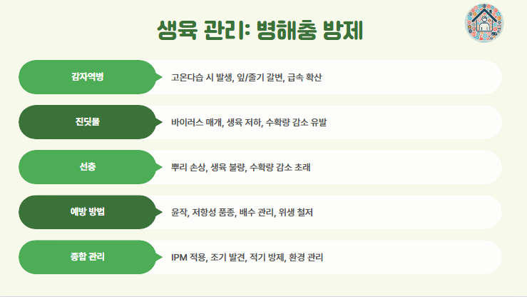 감자 재배법