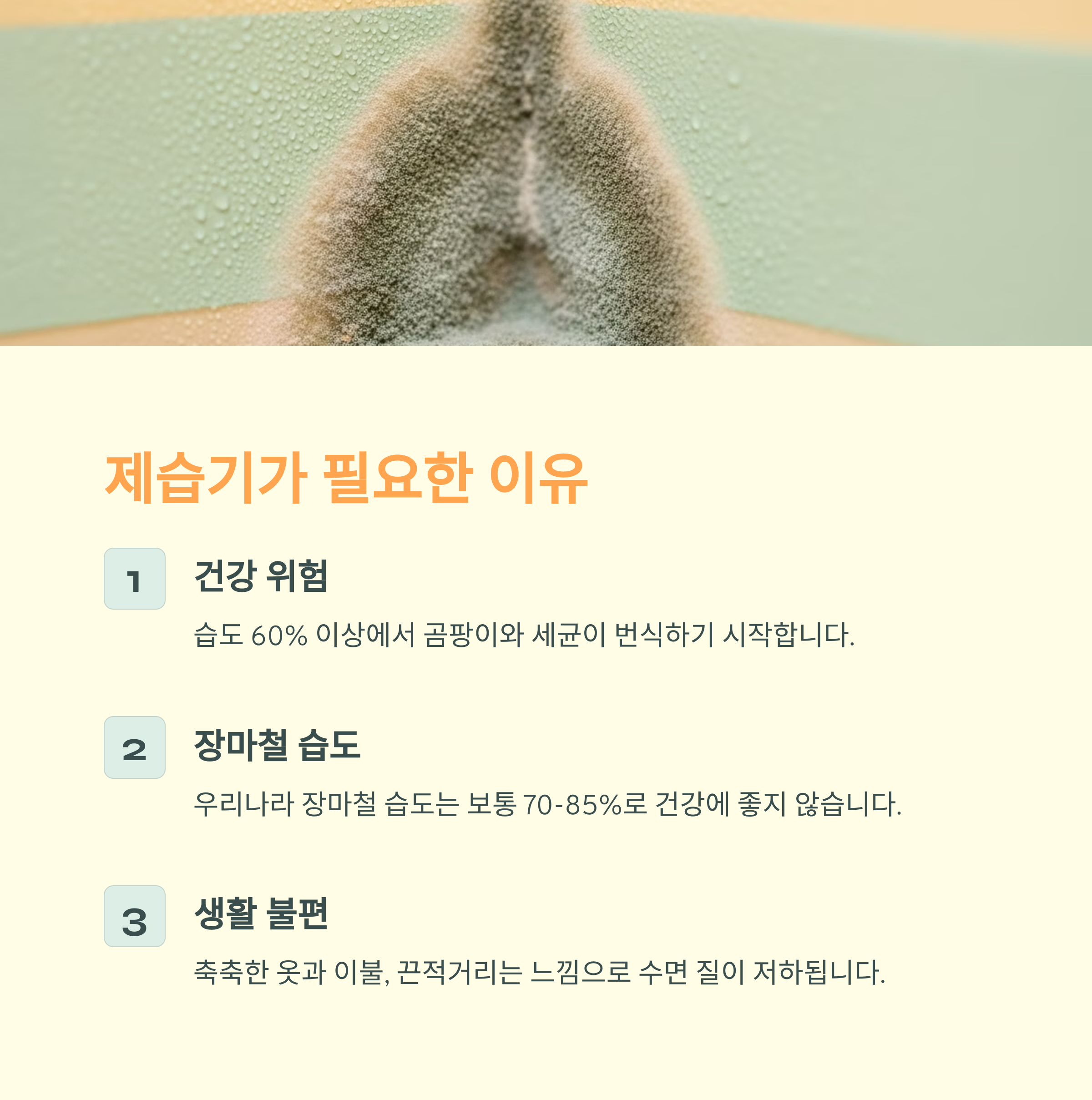제습기 기본 원리와 장마철 필요성