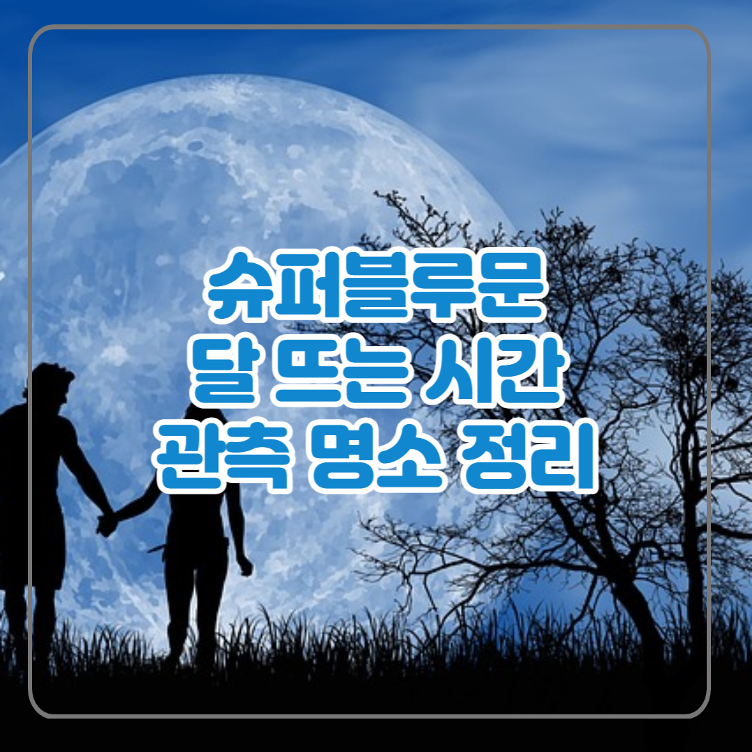  슈퍼블루문, 달 뜨는 시간 달 보기 좋은 명소 특별관측회 예약방법 정리