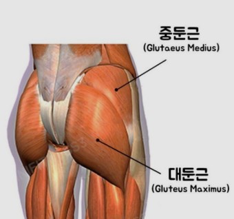  사망률 높이는 노년기 근감소증 자가 진단과 운동 식이 방법