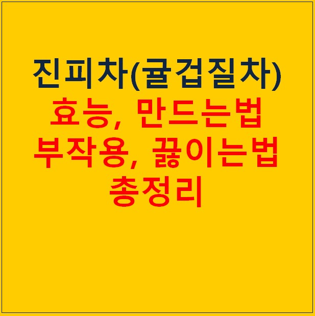 진피차 (귤껍질차) 효능 만드는 법 및 부작용 총정리