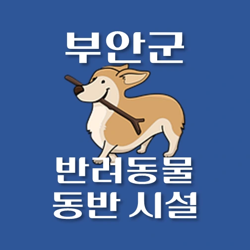 썸네일-부안군-반려동물-출입가능-장소