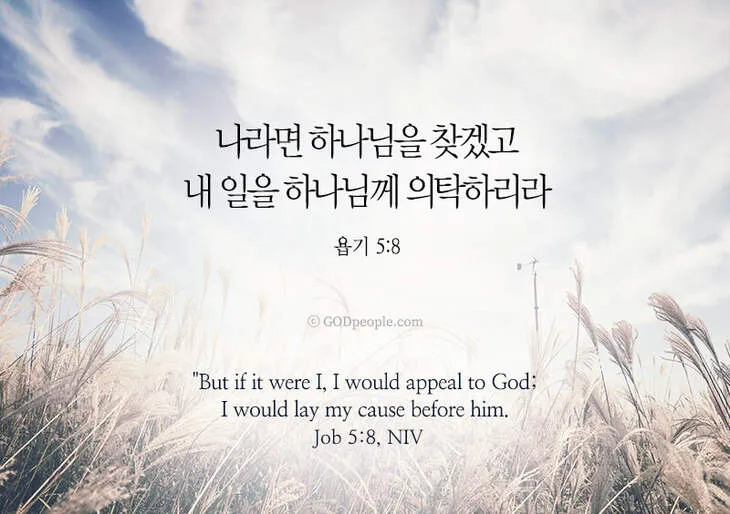 욥기 5장 해석 성경 문구_8