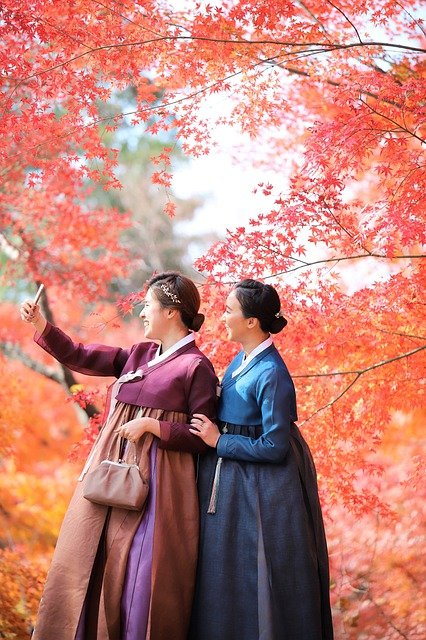 단풍나무 아래 한복을 입은 두 여인의 사진 