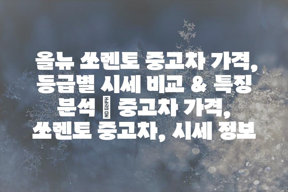 샘플 (47)