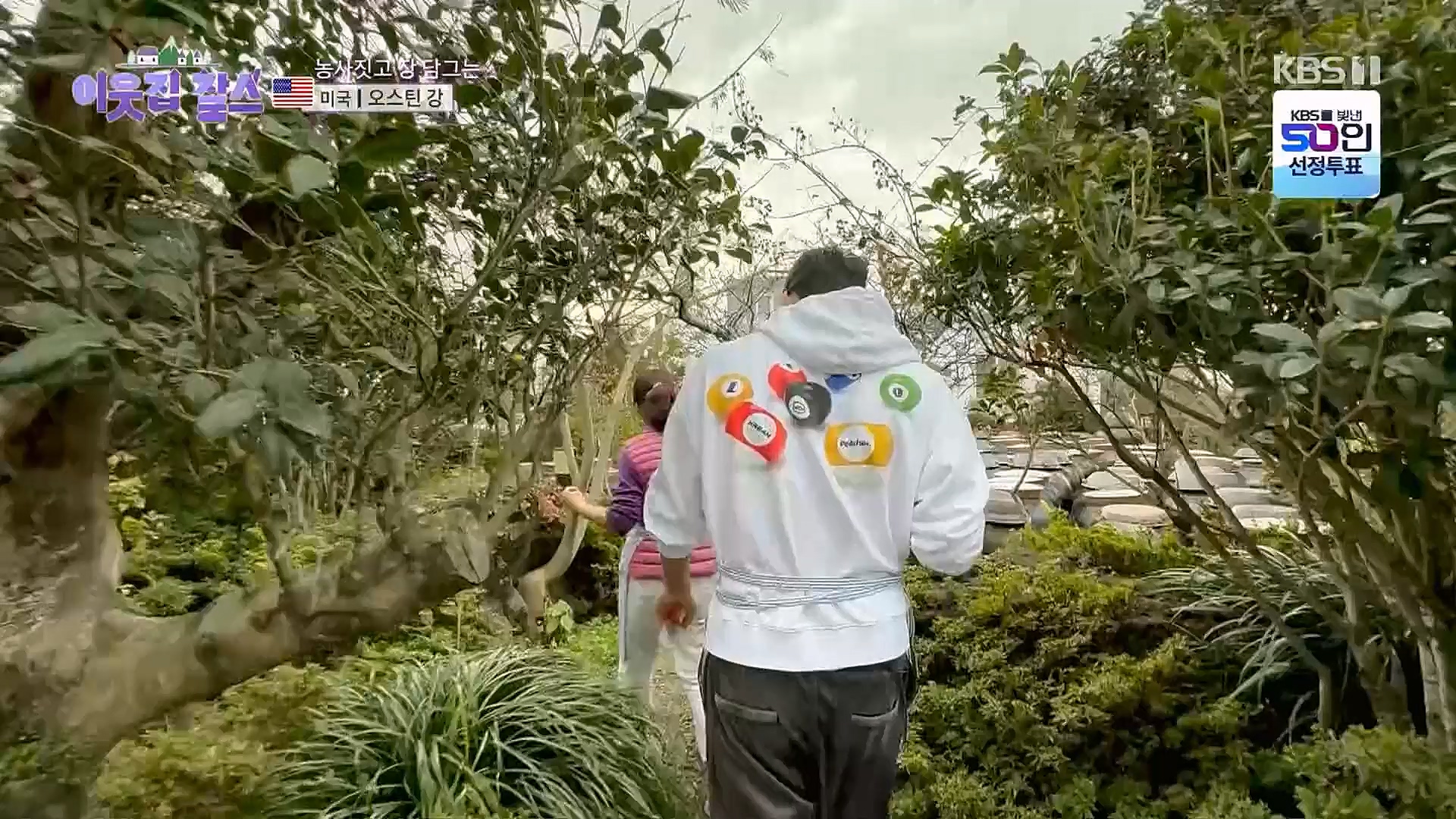 이웃집 찰스.E371.230117p.H264-F1RST.mp4_20230118_195432.844.jpg