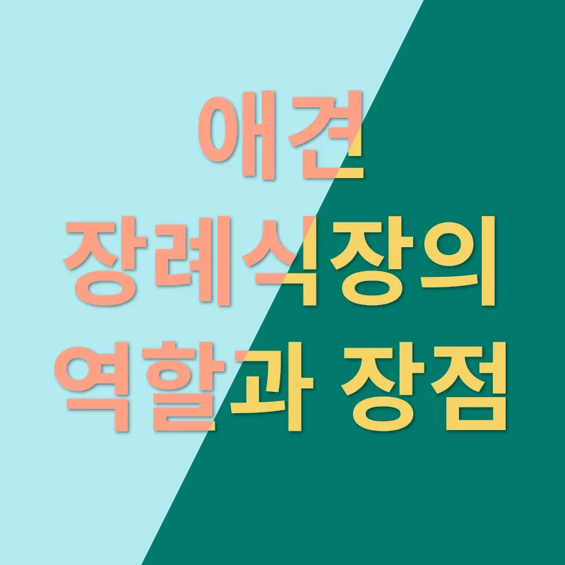 애견 장례식장 소개_1