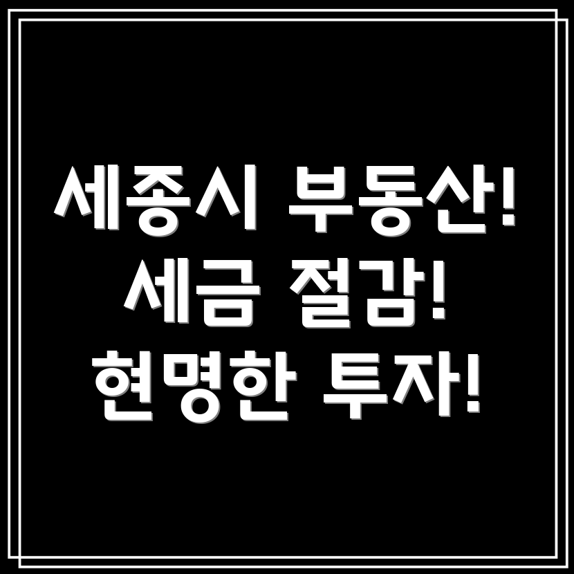 세종시 부동산 매매 세금