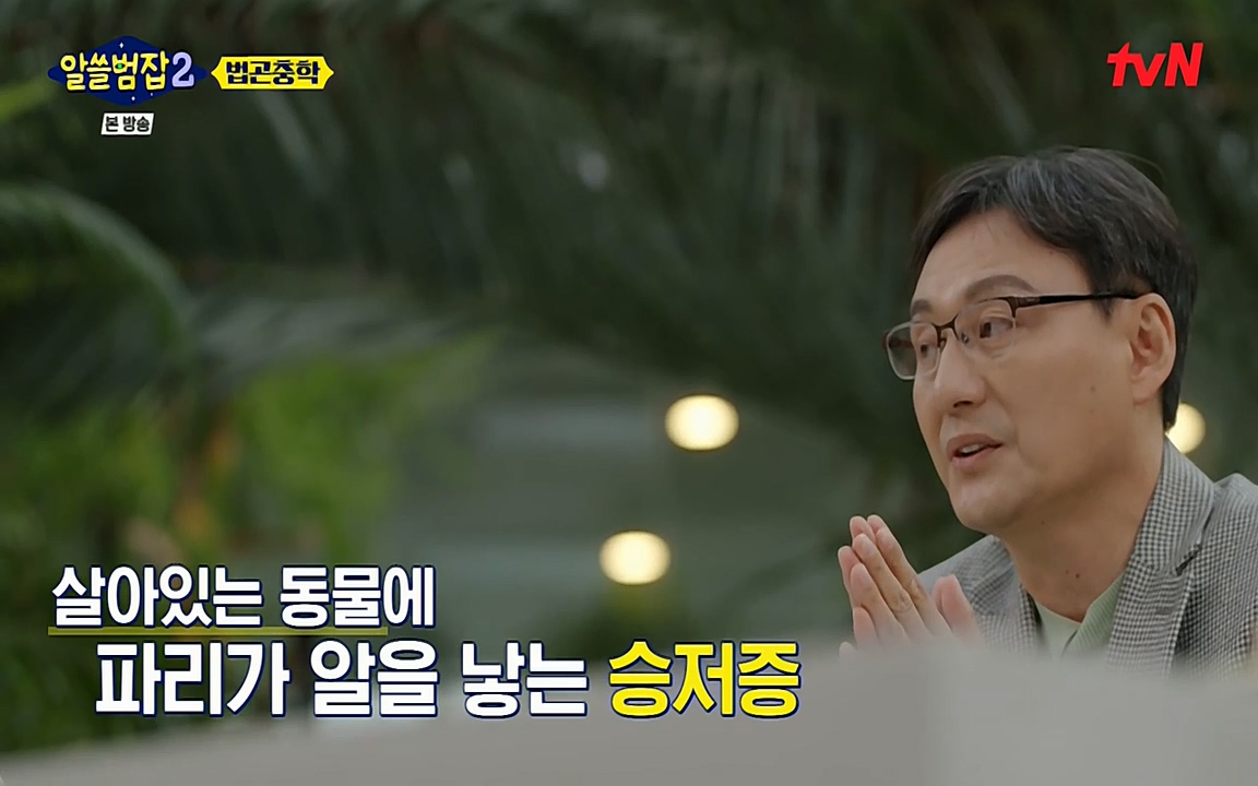 알쓸범잡 2.E15.220425p-NEXT.mp4_20220425_181918.513.jpg
