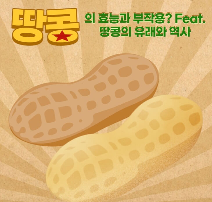  땅콩 효능 부작용?feat.땅콩의 역사와 유래