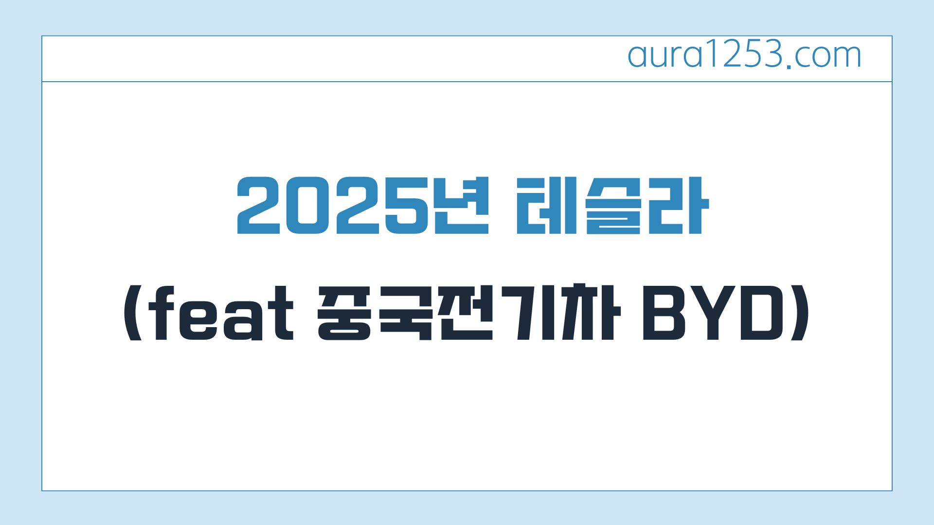 2025년 테슬라 주식 평가 분석 (feat 중국전기차 BYD)