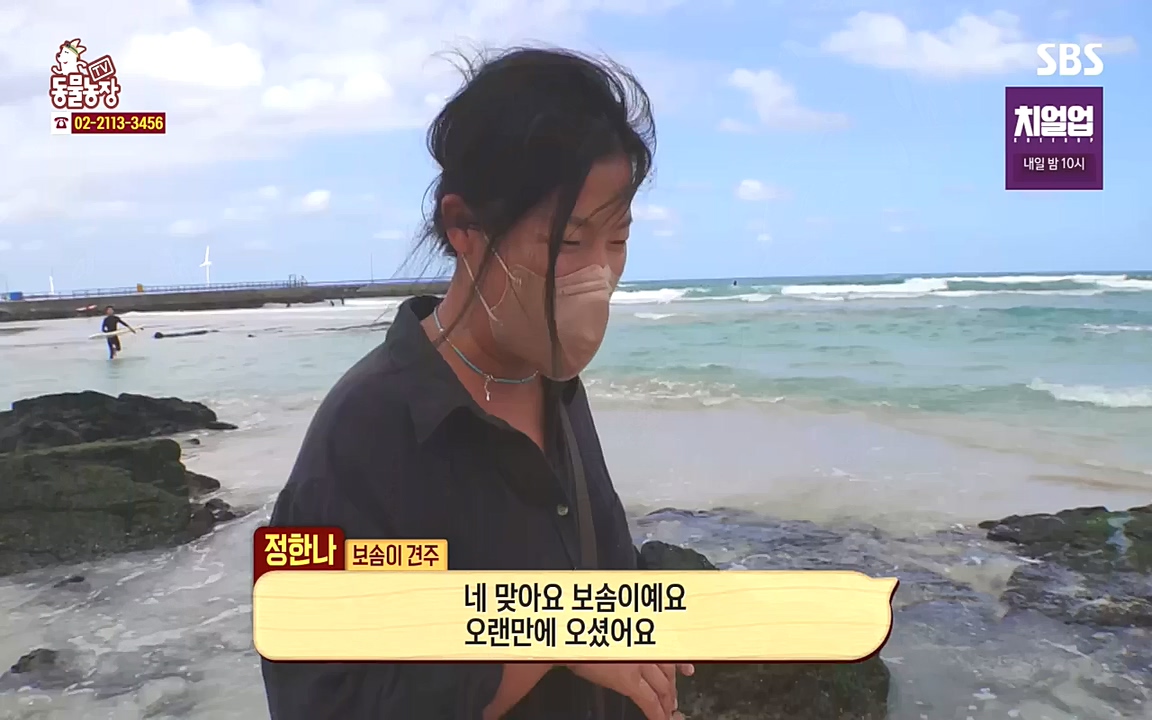 TV 동물농장.E1090.221010p-NEXT.mp4_20221009_182009.836.jpg