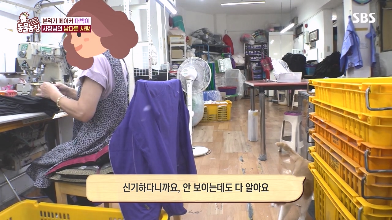 TV 동물농장.E1141.231016p-NEXT.mp4_20231015_174248.095.jpg