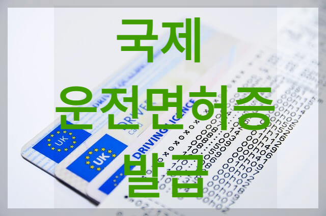  c국제운전면허증 발급c발급기관과 소요시간 / 발급방법과 수수료 (ft. 사진 규격)