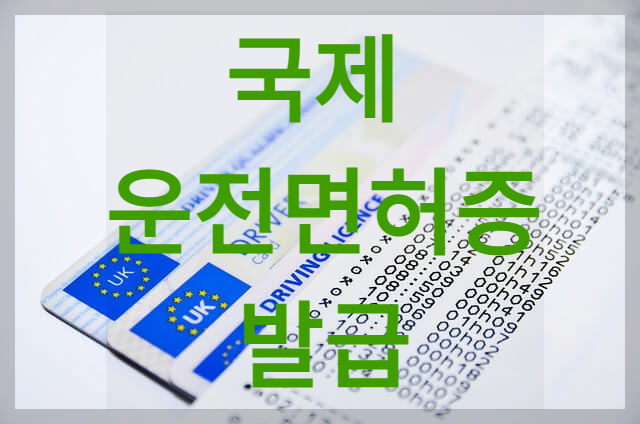 국제운전면허증 발급