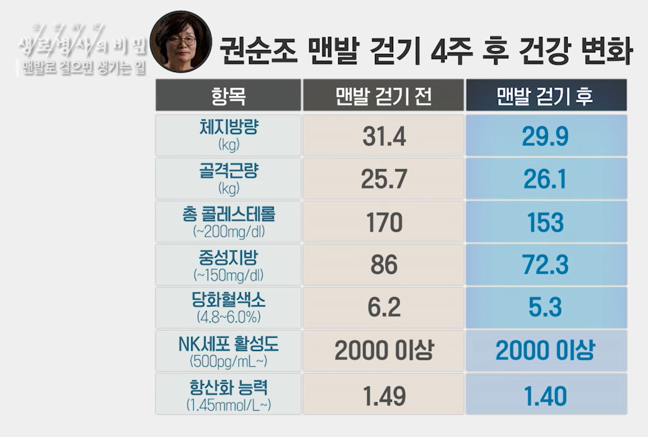 맨발 걷기 효능