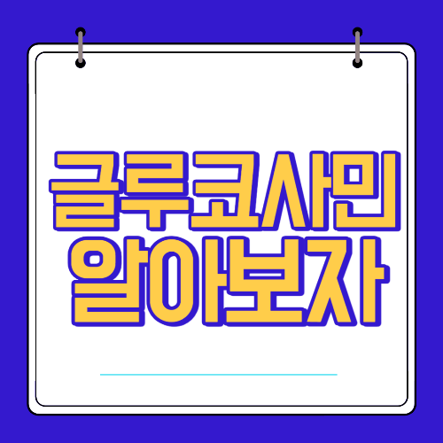  글루코사민 효능 부작용 알고 섭취 하자!