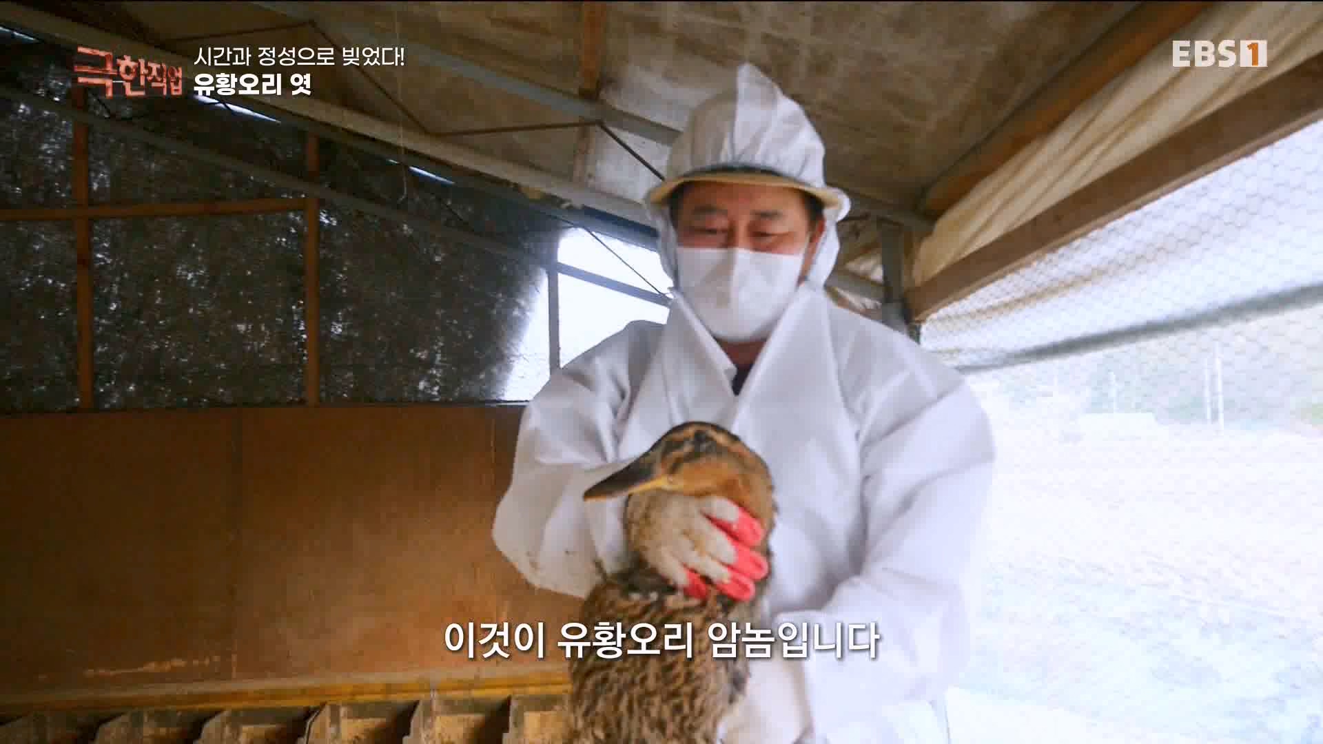 극한 직업 유황오리 엿, 죽력, 도라지정과 1080p.mp4_20230523_203537.568.jpg