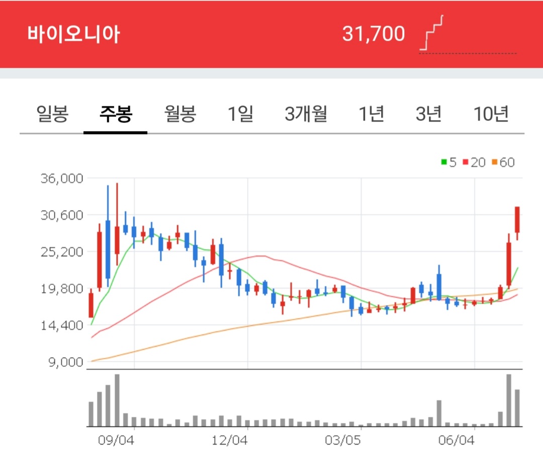 바이오니아 주식 주봉차트