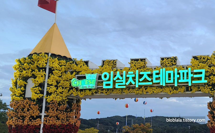  임실N치즈축제에 가보다