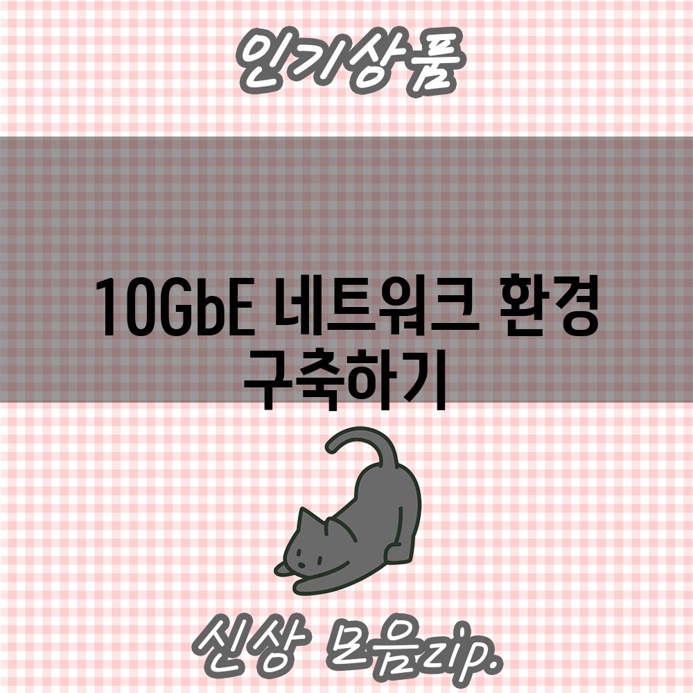 10GbE 네트워크 환경 구축하기