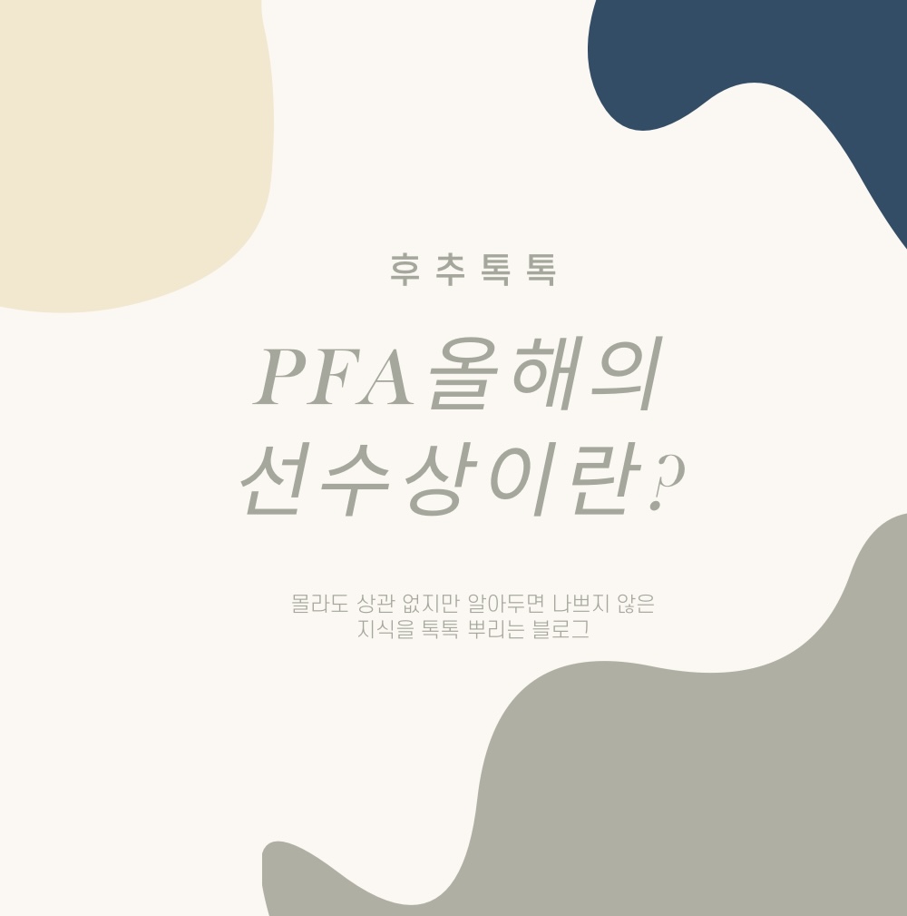  득점왕 손흥민도 제외된 PFA 올해의 선수상은 무엇인가?