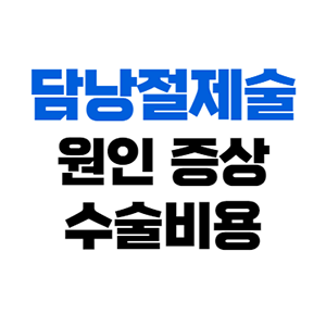  담낭염 원인 및 증상 - 담낭제거수술 비용 실비청구