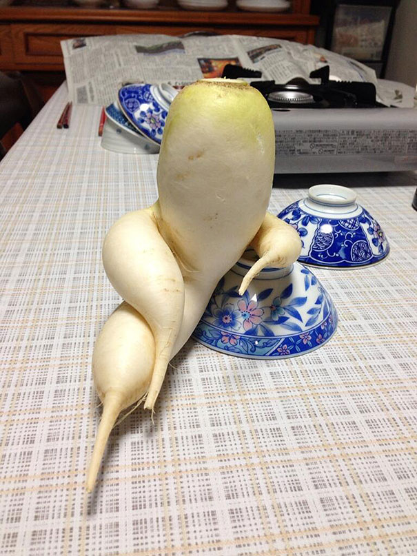 img.jpg