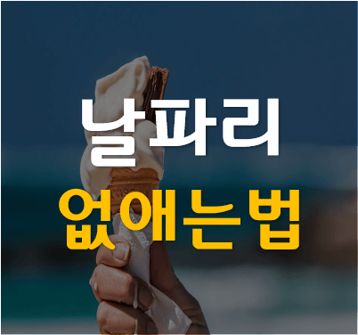 날파리 없애는 방법 퇴치법 알아 보기