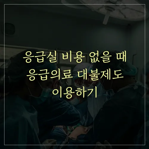 응급의료-대불제도-이용하기