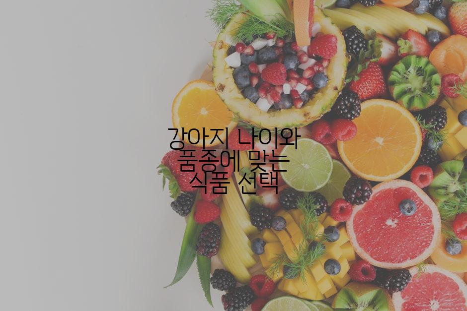 강아지 나이와 품종에 맞는 식품 선택