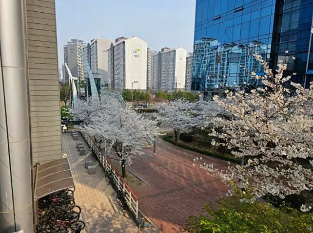 어울공원