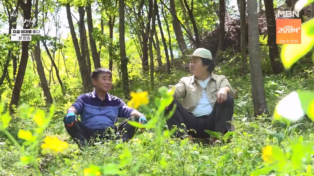 나는 자연인이다.E605.240516p-NEXT.mp4_20240516_194930.730.jpg
