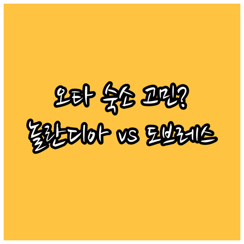 오타 여행 숙소 고민? 놀란디아 오타