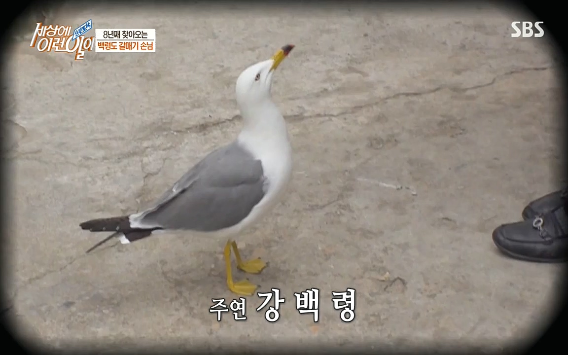 순간포착 세상에 이런일이.E1180.220518p-NEXT.mp4_20220518_181606.196.jpg