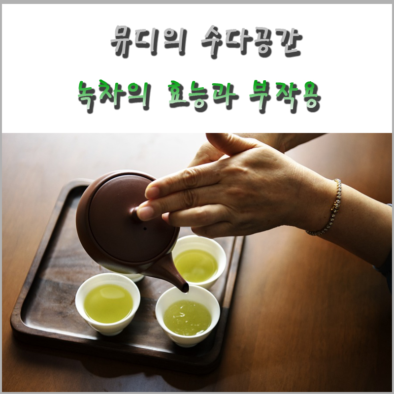 녹차카페인부터 효능, 부작용 등 3