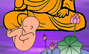  사람이 달리 태어남의 이유는 뭔가요?