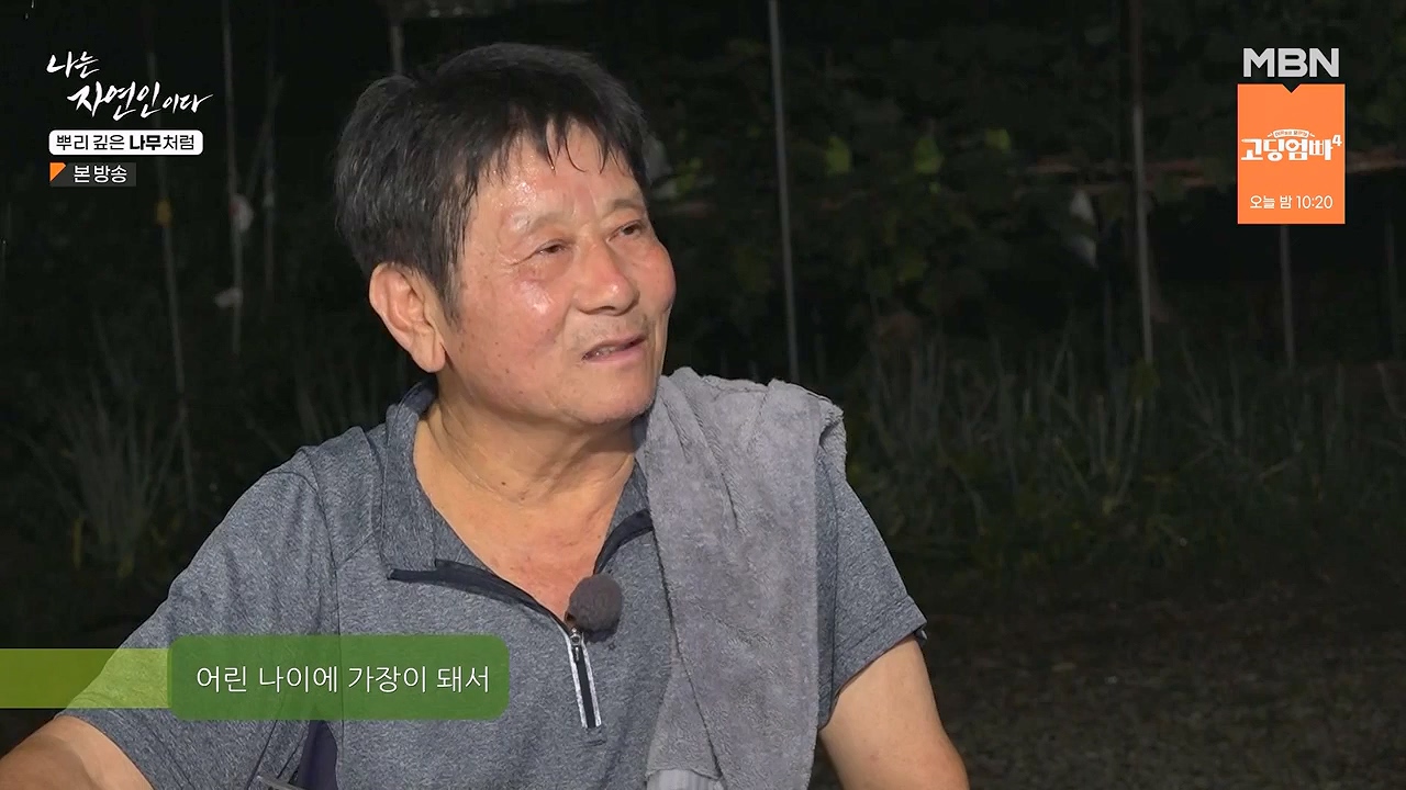 나는 자연인이다.E571.230914p-NEXT.mp4_20230914_202153.064.jpg