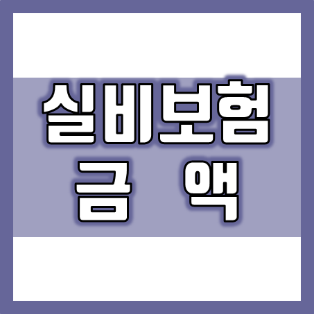  실비보험 금액, 실손보험 보장금액과 매월 납입해야 할 금액 비교