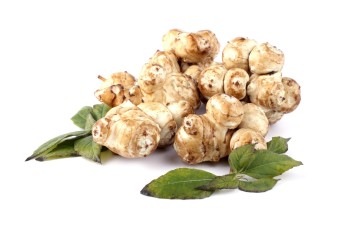 돼지감자 (따탕지)