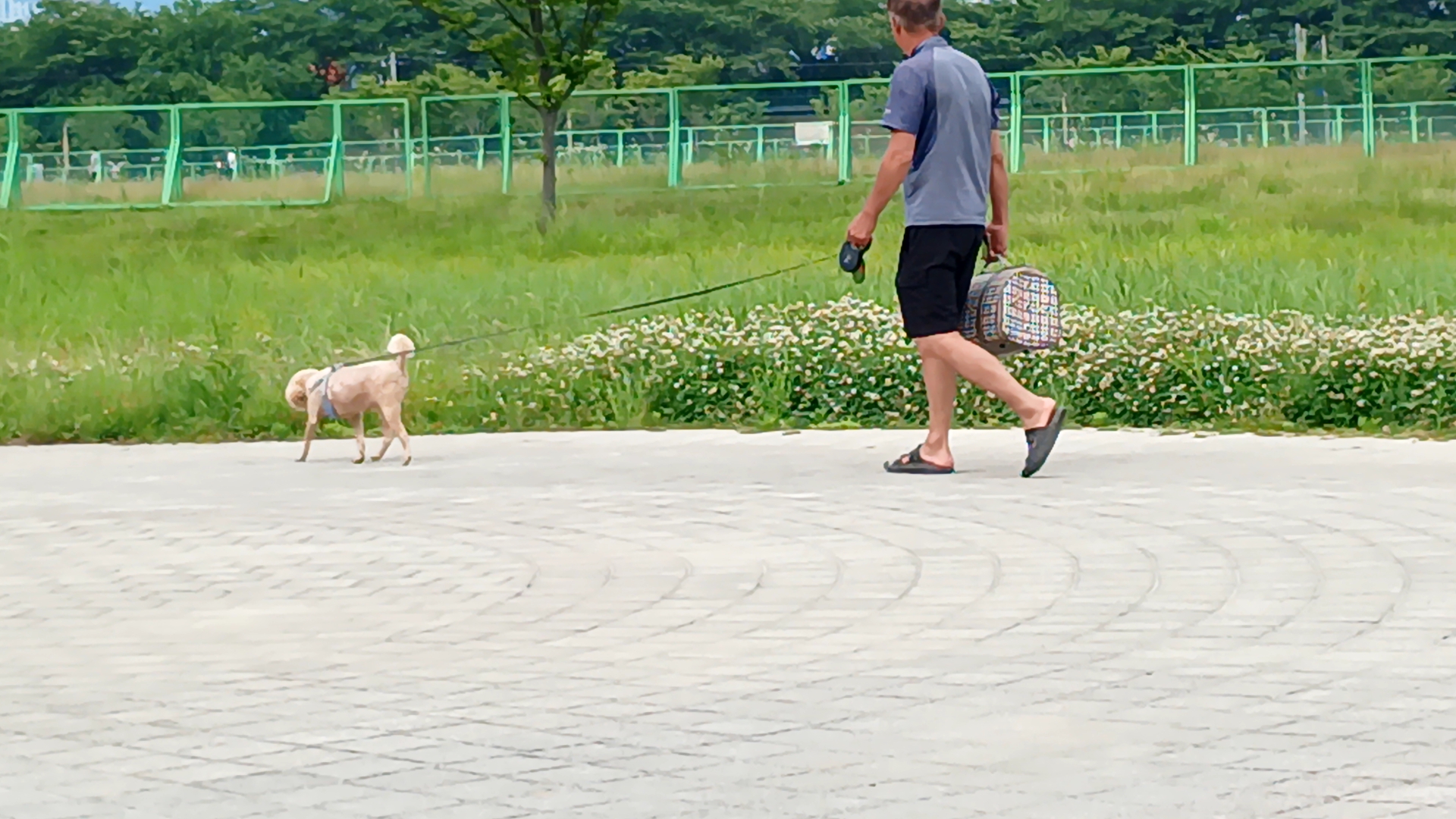 [김종우 칼럼] 반려동물산업에세이_87 의료 및 사회적 서비스의 발전으로 반려동물 고령화시대 되다