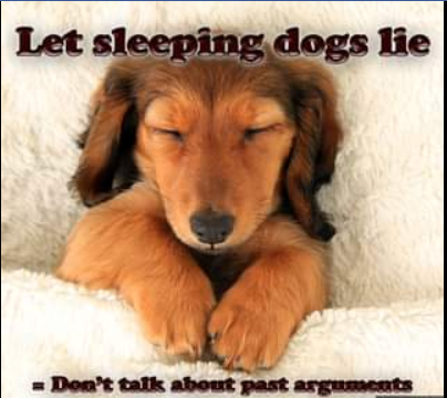  [영어] Let sleeping dog lie 관용어구