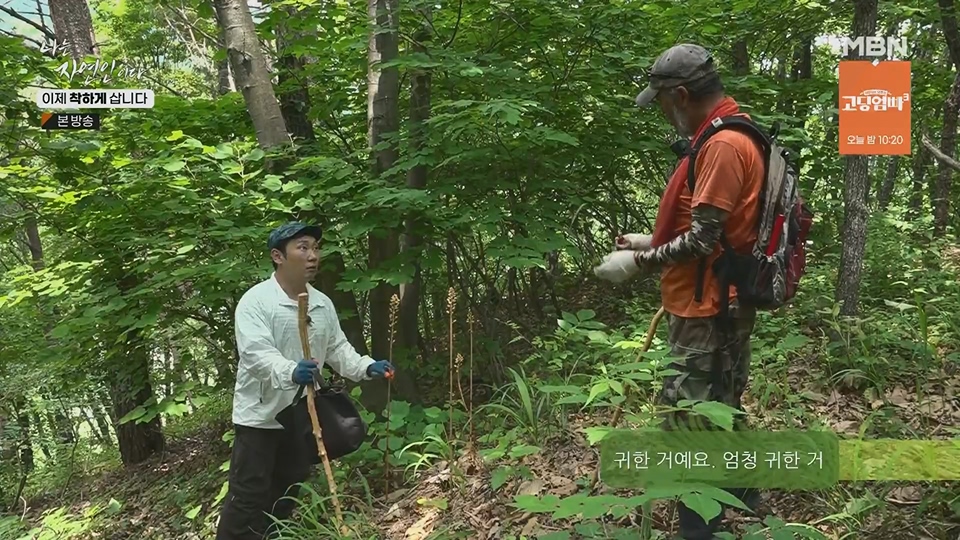 나는 자연인이다.E560.230628p.H264-F1RST.mp4_20230701_182700.066.jpg