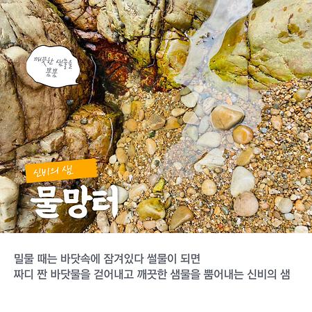 대구 화원 위치