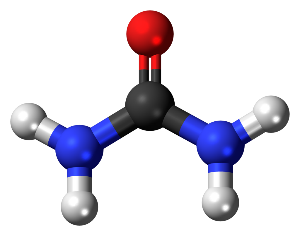 요소수에 들어가는 요소의 뜻&amp;#44; 소변에 포함된 요소(尿素) 우레아(Urea)