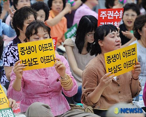 보살은 안건드린다 는 무슨 말인지?