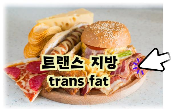 트랜스 지방 알아보기